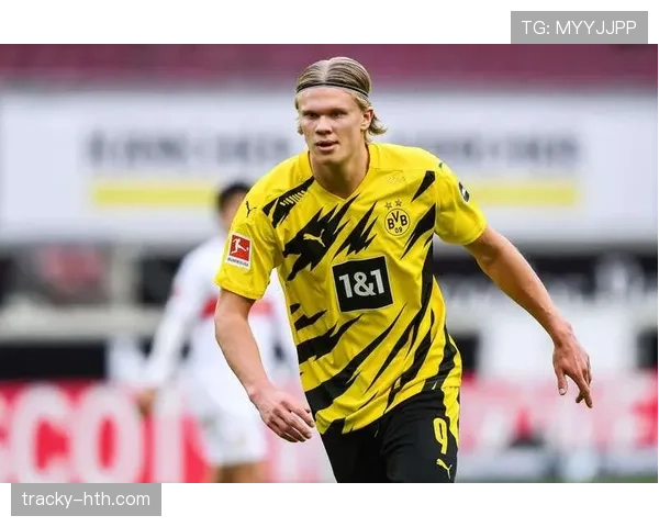 哈兰德2020多特蒙德 哈兰德2020多特蒙德